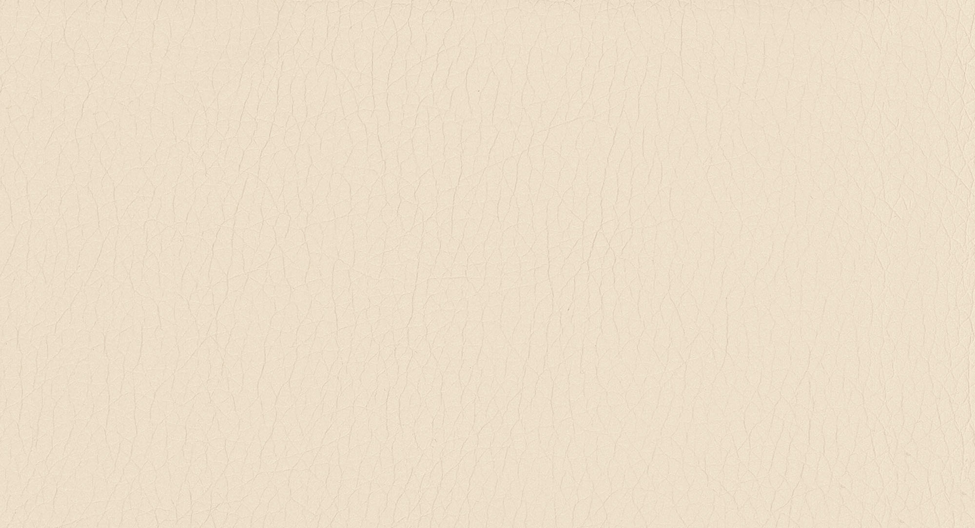 Pulse D202 Bisquit 2S